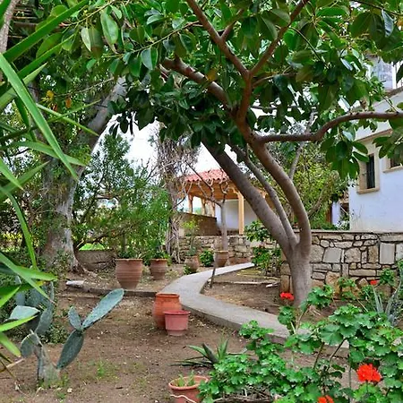 Odysseas Bungalows Apartment *