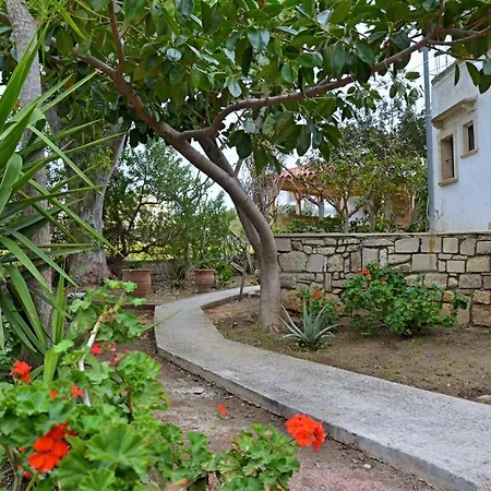 Odysseas Bungalows Matala (Crete)